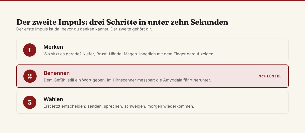 Der zweite Impuls als Drei-Schritt-Methode: Merken, wo das Gefühl im Körper sitzt, ihm still ein Wort geben und erst danach entscheiden. Benennen ist der Schlüsselschritt.