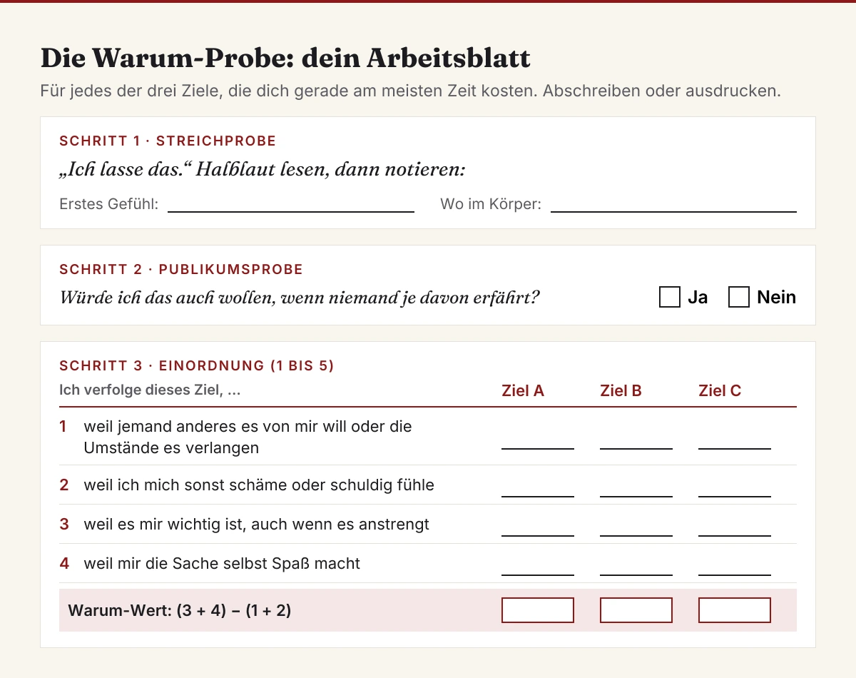 Was will ich im Leben Test: die Warum-Probe mit Streichprobe, Publikumsprobe und Warum-Wert pro Ziel